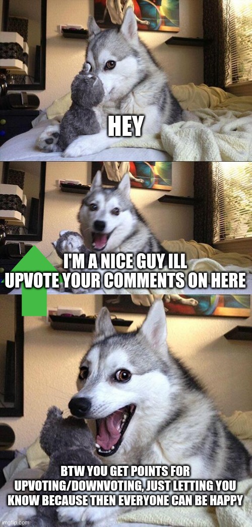 Bad Pun Dog | HEY; I'M A NICE GUY ILL UPVOTE YOUR COMMENTS ON HERE; BTW YOU GET POINTS FOR UPVOTING/DOWNVOTING, JUST LETTING YOU KNOW BECAUSE THEN EVERYONE CAN BE HAPPY | image tagged in memes,bad pun dog | made w/ Imgflip meme maker