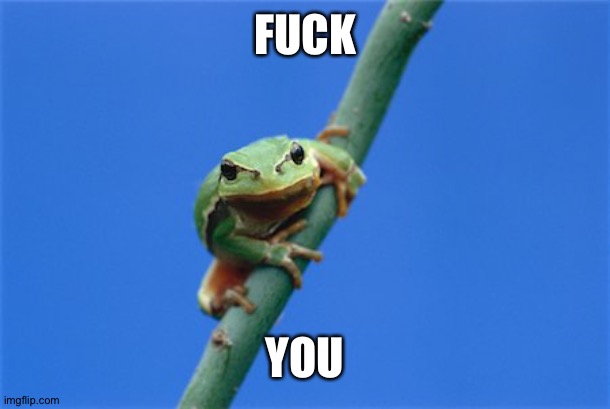 Angry frog | FUCK YOU | image tagged in angry frog | made w/ Imgflip meme maker