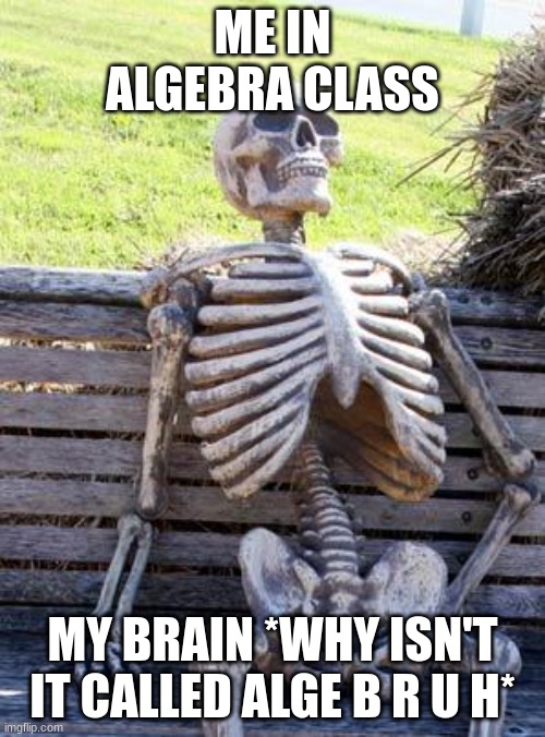 Waiting Skeleton |  ME IN ALGEBRA CLASS; MY BRAIN *WHY ISN'T IT CALLED ALGE B R U H* | image tagged in memes,waiting skeleton | made w/ Imgflip meme maker