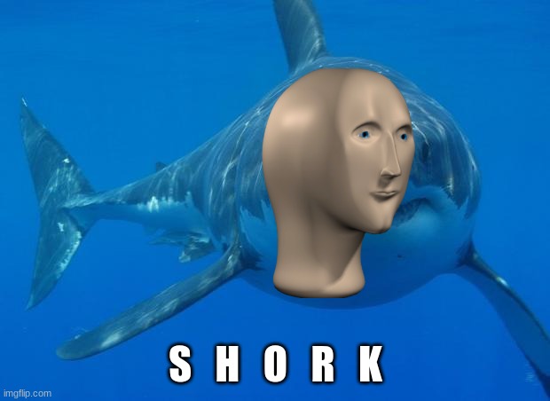 Straight White Shark | S   H   O   R   K | image tagged in straight white shark | made w/ Imgflip meme maker
