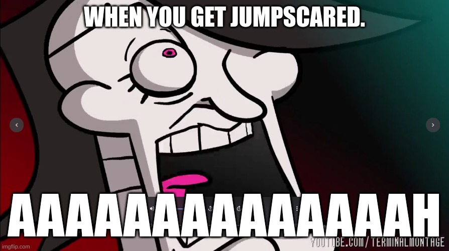 WHEN YOU GET JUMPSCARED. AAAAAAAAAAAAAAH | image tagged in undertale | made w/ Imgflip meme maker