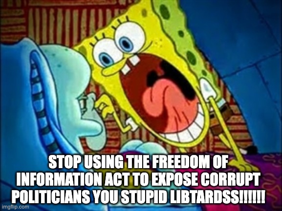 real patriots are war criminals who were friends of jeffrey epstein | STOP USING THE FREEDOM OF INFORMATION ACT TO EXPOSE CORRUPT POLITICIANS YOU STUPID LIBTARDSS!!!!!! | image tagged in spongebob yelling | made w/ Imgflip meme maker