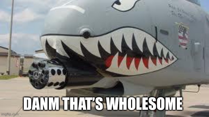 A-10 Warthog | DANM THAT’S WHOLESOME | image tagged in a-10 warthog | made w/ Imgflip meme maker