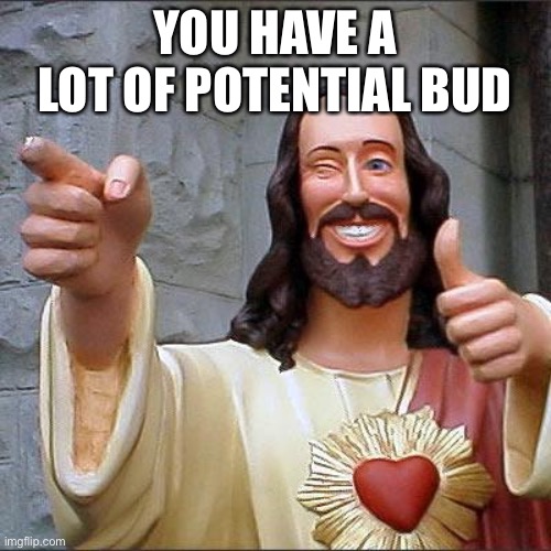 Buddy Christ Meme | YOU HAVE A LOT OF POTENTIAL BUD | image tagged in memes,buddy christ | made w/ Imgflip meme maker