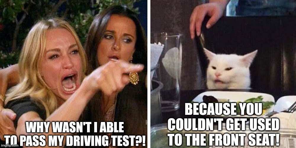 Dumb blonde | WHY WASN'T I ABLE TO PASS MY DRIVING TEST?! BECAUSE YOU COULDN'T GET USED TO THE FRONT SEAT! | image tagged in smudge the cat | made w/ Imgflip meme maker