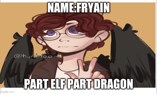 NAME:FRYAIN PART ELF PART DRAGON | made w/ Imgflip meme maker