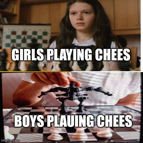 GIRLS PLAYING CHEES; BOYS PLAUING CHEES | image tagged in pie charts | made w/ Imgflip meme maker