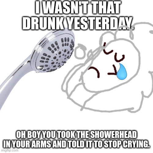 Gets 1000 veiws and 400 upvotes, i make another like this. | I WASN'T THAT DRUNK YESTERDAY. OH BOY YOU TOOK THE SHOWERHEAD IN YOUR ARMS AND TOLD IT TO STOP CRYING. | image tagged in showerr head,ook,drun-,oh are you reading these,get out og the tags,omg stop | made w/ Imgflip meme maker