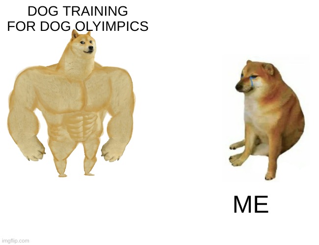 DOGGO MEME | DOG TRAINING FOR DOG OLYIMPICS; ME | image tagged in memes,buff doge vs cheems,dogs,doge,doggo | made w/ Imgflip meme maker