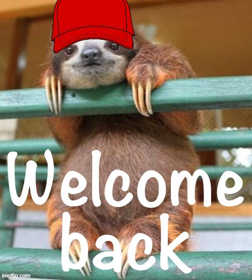 Sloth welcome back | image tagged in sloth welcome back | made w/ Imgflip meme maker