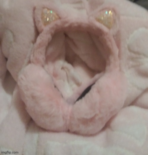 Look at my new blanket and cat ear earmuffs please | made w/ Imgflip meme maker