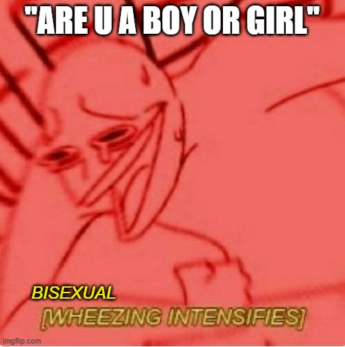 Wheeze | "ARE U A BOY OR GIRL" BISEXUAL | image tagged in wheeze | made w/ Imgflip meme maker