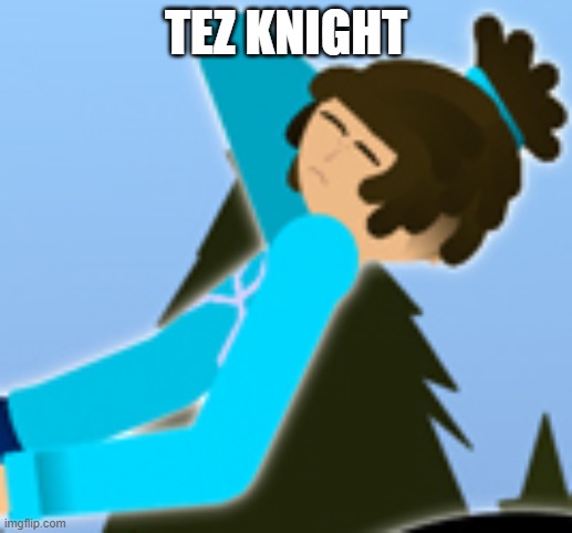 Tez Knight | TEZ KNIGHT | image tagged in tez knight | made w/ Imgflip meme maker