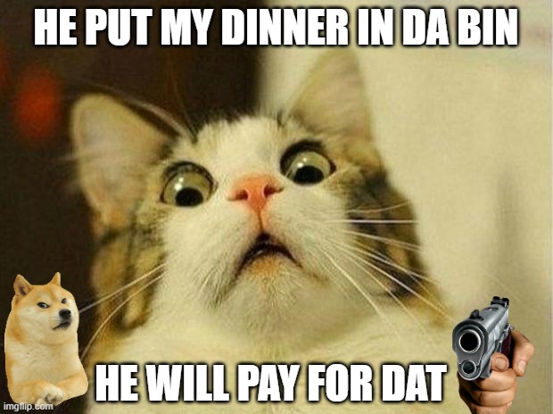 scared kat | HE PUT MY DINNER IN DA BIN; HE WILL PAY FOR DAT | image tagged in memes,scared cat,doge,gun | made w/ Imgflip meme maker