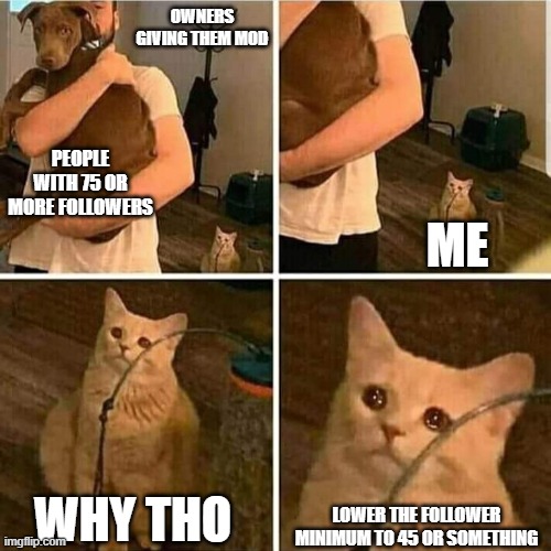 ⌂ | OWNERS GIVING THEM MOD; PEOPLE WITH 75 OR MORE FOLLOWERS; ME; WHY THO; LOWER THE FOLLOWER MINIMUM TO 45 OR SOMETHING | image tagged in sad cat holding dog | made w/ Imgflip meme maker
