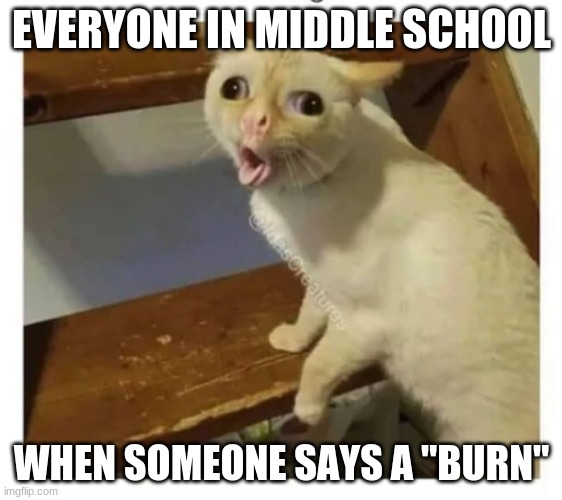 Coughing Cat | EVERYONE IN MIDDLE SCHOOL; WHEN SOMEONE SAYS A "BURN" | image tagged in coughing cat | made w/ Imgflip meme maker