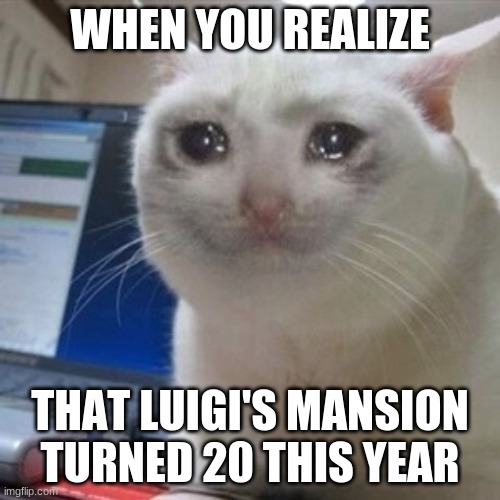 How could it... but I'm not that old yet... Am I? | WHEN YOU REALIZE; THAT LUIGI'S MANSION TURNED 20 THIS YEAR | image tagged in crying cat,luigi's mansion | made w/ Imgflip meme maker
