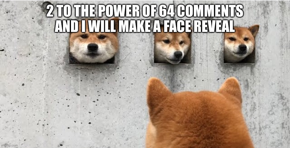 The doge council | 2 TO THE POWER OF 64 COMMENTS AND I WILL MAKE A FACE REVEAL | image tagged in the doge council | made w/ Imgflip meme maker