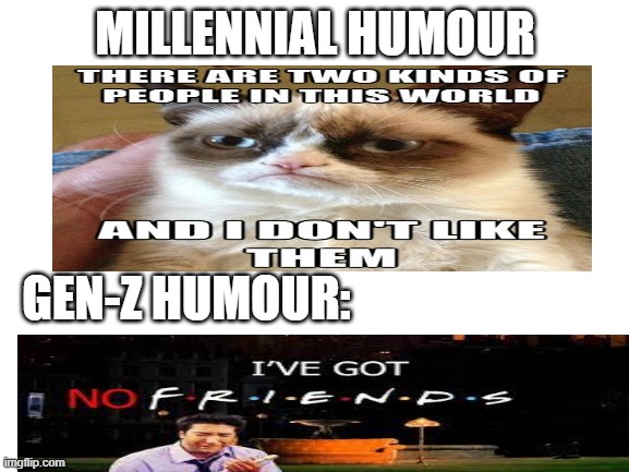 idk | MILLENNIAL HUMOUR; GEN-Z HUMOUR: | image tagged in blank white template,gen z humor | made w/ Imgflip meme maker