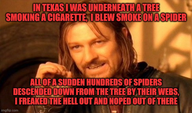 One Does Not Simply Meme | IN TEXAS I WAS UNDERNEATH A TREE SMOKING A CIGARETTE,  I BLEW SMOKE ON A SPIDER ALL OF A SUDDEN HUNDREDS OF SPIDERS DESCENDED DOWN FROM THE  | image tagged in memes,one does not simply | made w/ Imgflip meme maker