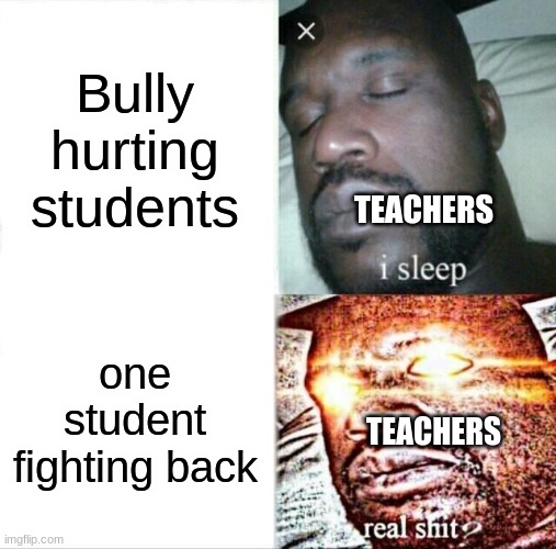 WHy is this true | Bully hurting students; TEACHERS; one student fighting back; TEACHERS | image tagged in memes,sleeping shaq | made w/ Imgflip meme maker