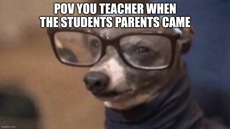 POV YOU TEACHER WHEN THE STUDENTS PARENTS CAME | image tagged in dog | made w/ Imgflip meme maker