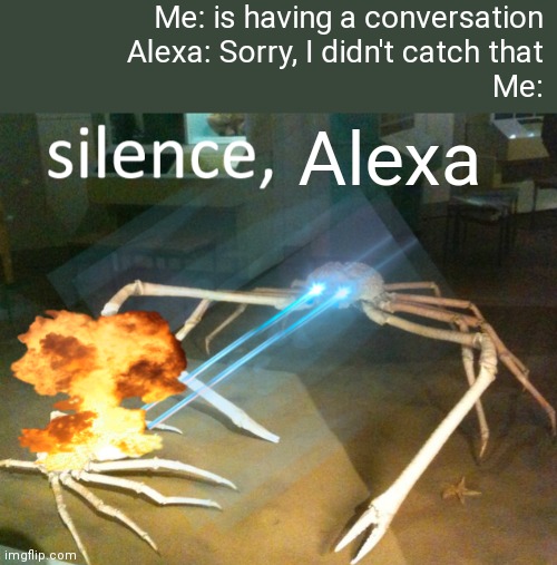 Silence Crab | Me: is having a conversation
Alexa: Sorry, I didn't catch that
Me:; Alexa | image tagged in silence crab | made w/ Imgflip meme maker