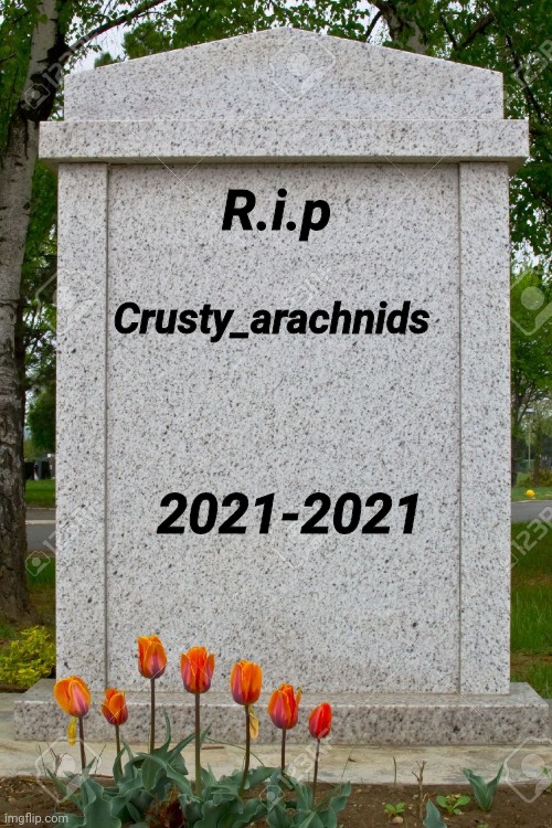 :( | Crusty_arachnids; R.i.p; 2021-2021 | image tagged in blank gravestone | made w/ Imgflip meme maker