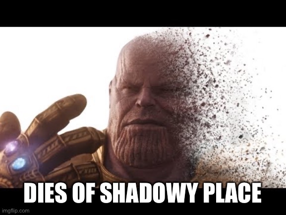 thanos vanishing | DIES OF SHADOWY PLACE | image tagged in thanos vanishing | made w/ Imgflip meme maker