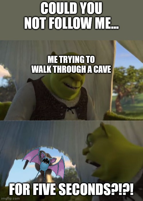 Could you not ___ for 5 MINUTES | COULD YOU NOT FOLLOW ME... ME TRYING TO WALK THROUGH A CAVE; FOR FIVE SECONDS?!?! | image tagged in could you not ___ for 5 minutes | made w/ Imgflip meme maker