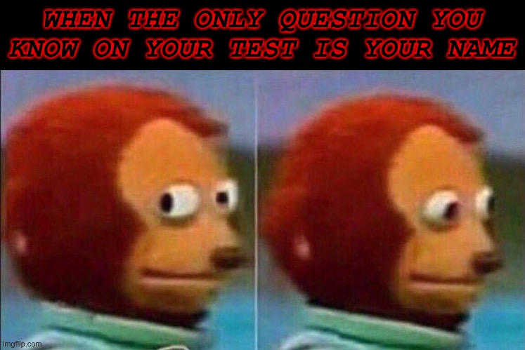 Monkey looking away | WHEN THE ONLY QUESTION YOU KNOW ON YOUR TEST IS YOUR NAME | image tagged in monkey looking away | made w/ Imgflip meme maker