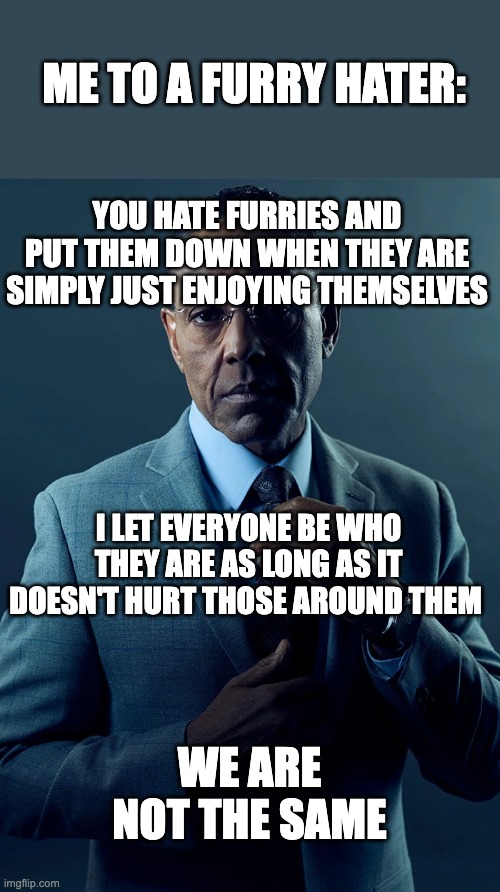 How to deal with furry haters | ME TO A FURRY HATER:; YOU HATE FURRIES AND PUT THEM DOWN WHEN THEY ARE SIMPLY JUST ENJOYING THEMSELVES; I LET EVERYONE BE WHO THEY ARE AS LONG AS IT DOESN'T HURT THOSE AROUND THEM; WE ARE NOT THE SAME | image tagged in we are not the same,furry,furries | made w/ Imgflip meme maker