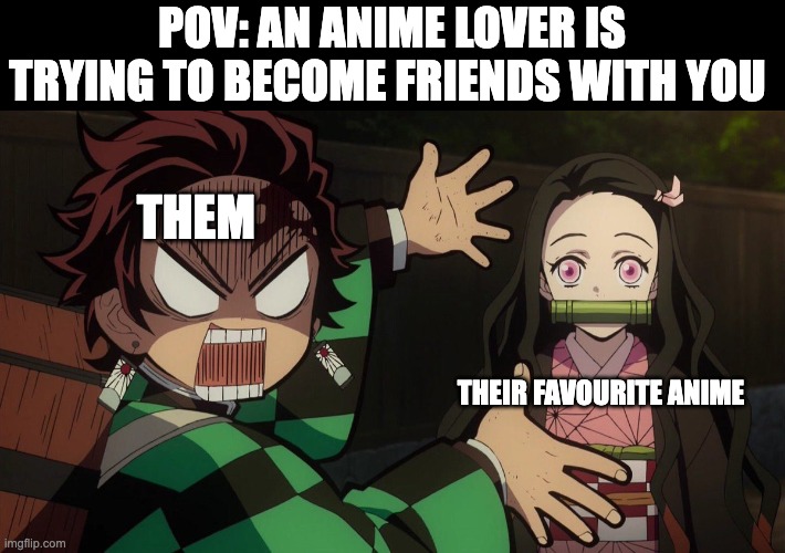 POV | POV: AN ANIME LOVER IS TRYING TO BECOME FRIENDS WITH YOU; THEM; THEIR FAVOURITE ANIME | image tagged in our nezuko | made w/ Imgflip meme maker
