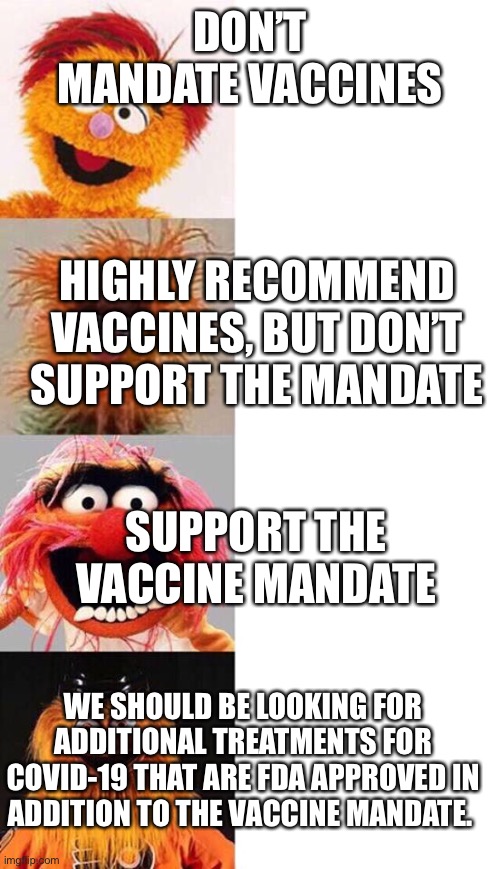 Gritty Brain | DON’T MANDATE VACCINES; HIGHLY RECOMMEND VACCINES, BUT DON’T SUPPORT THE MANDATE; SUPPORT THE VACCINE MANDATE; WE SHOULD BE LOOKING FOR ADDITIONAL TREATMENTS FOR COVID-19 THAT ARE FDA APPROVED IN ADDITION TO THE VACCINE MANDATE. | image tagged in gritty brain | made w/ Imgflip meme maker