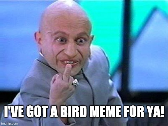 mini-me flip the bird | I'VE GOT A BIRD MEME FOR YA! | image tagged in mini-me flip the bird | made w/ Imgflip meme maker