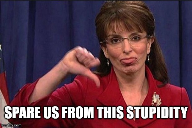 sarah palin thumbs down | SPARE US FROM THIS STUPIDITY | image tagged in sarah palin thumbs down | made w/ Imgflip meme maker