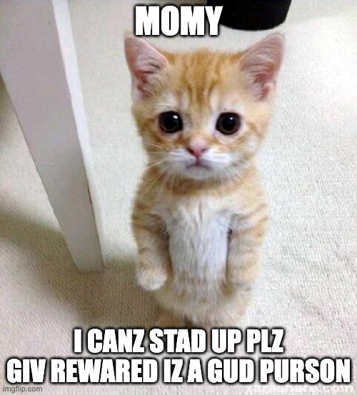 Cute Cat | MOMY; I CANZ STAD UP PLZ GIV REWARED IZ A GUD PURSON | image tagged in memes,cute cat | made w/ Imgflip meme maker