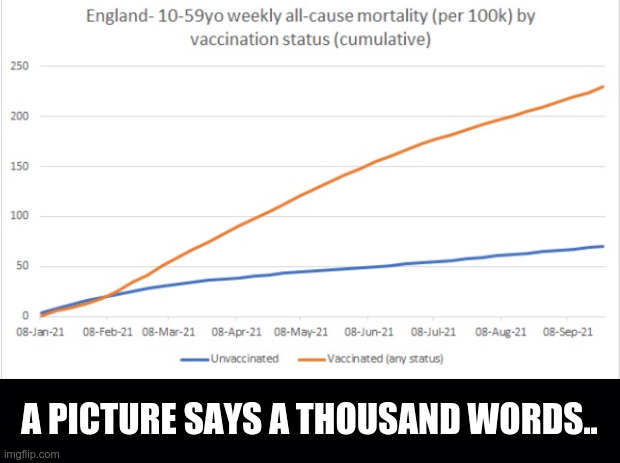 UK Mortality stats - vaxxed verses unvaxxed | A PICTURE SAYS A THOUSAND WORDS.. | image tagged in vax stats,covid-19,covid vaccine | made w/ Imgflip meme maker