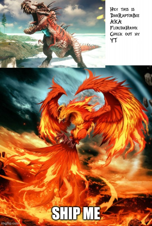 Trend | SHIP ME | image tagged in darraptorboi phoenix template | made w/ Imgflip meme maker