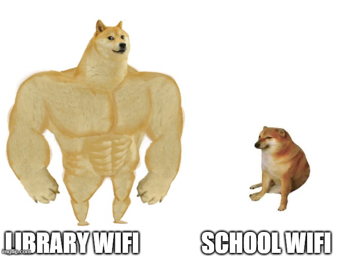 Big dog small dog | SCHOOL WIFI; LIBRARY WIFI | image tagged in big dog small dog | made w/ Imgflip meme maker
