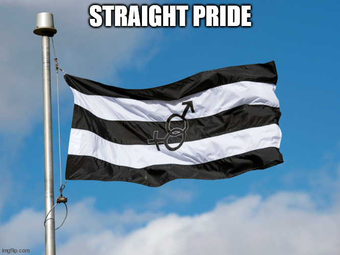 Celebrate "Real Men and Women" | STRAIGHT PRIDE | image tagged in straight pride | made w/ Imgflip meme maker