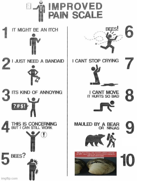 Improved Pain Scale | image tagged in improved pain scale | made w/ Imgflip meme maker