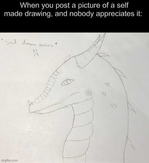 This is a dragon I drew | When you post a picture of a self made drawing, and nobody appreciates it: | image tagged in dragon,furries,drawing,furry | made w/ Imgflip meme maker