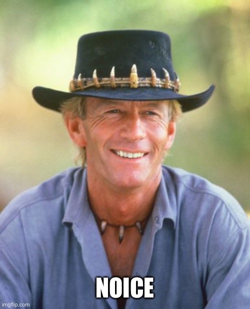 Noice one Dundee | NOICE | image tagged in noice,crocodile dundee | made w/ Imgflip meme maker