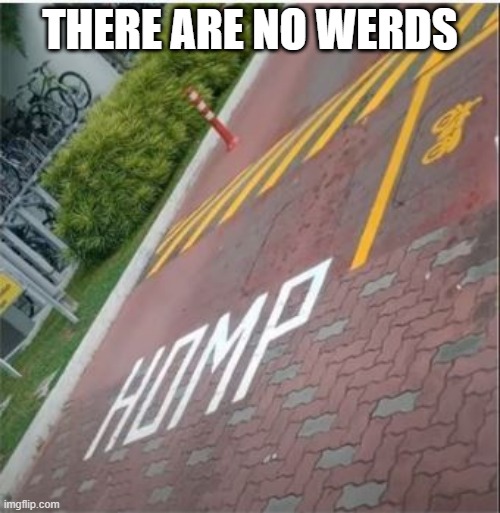 Over the Homp | THERE ARE NO WERDS | image tagged in you had one job | made w/ Imgflip meme maker