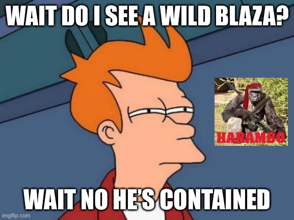 Futurama Fry Meme | WAIT DO I SEE A WILD BLAZA? WAIT NO HE’S CONTAINED | image tagged in memes,futurama fry | made w/ Imgflip meme maker