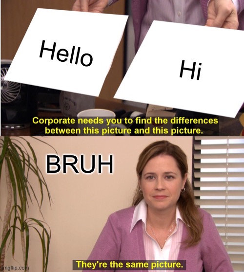 They're The Same Picture Meme | Hello; Hi; BRUH | image tagged in memes,they're the same picture | made w/ Imgflip meme maker