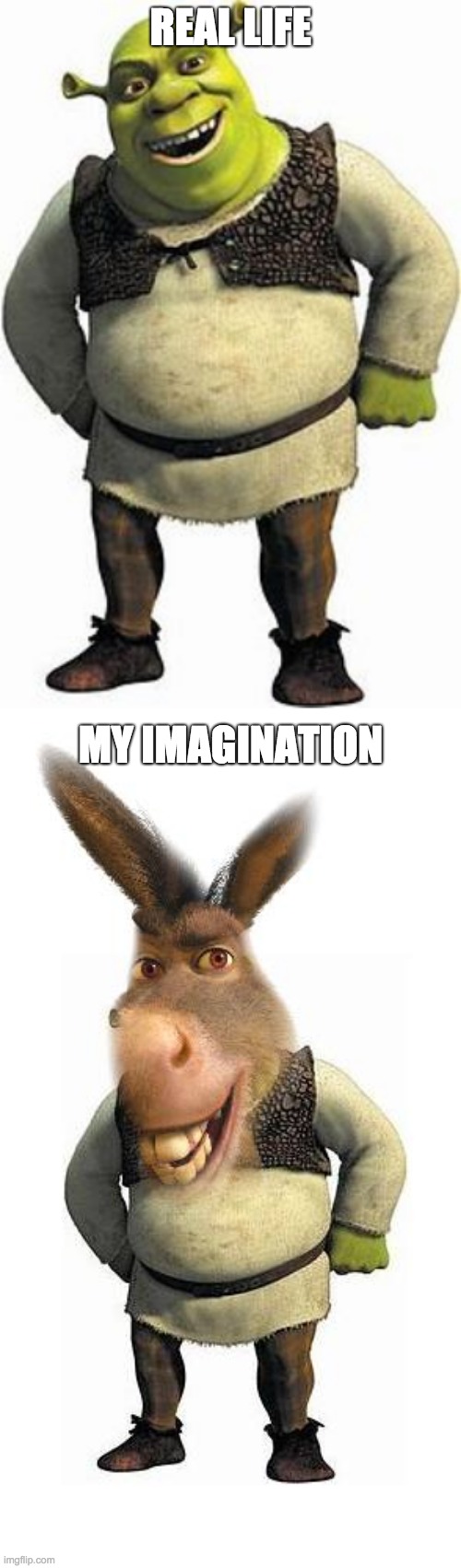 SHRONKY | REAL LIFE; MY IMAGINATION | image tagged in memes,shrek | made w/ Imgflip meme maker