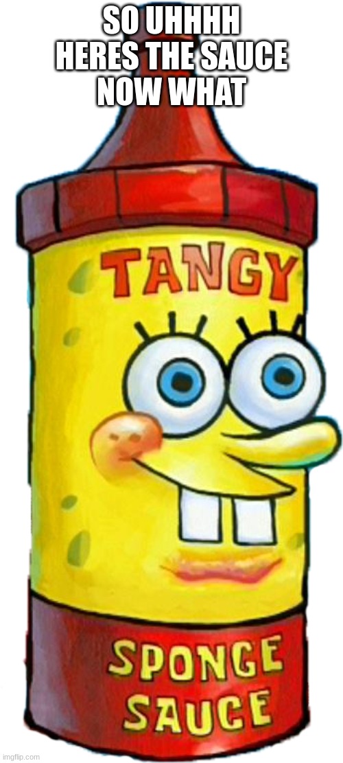 or something | SO UHHHH
HERES THE SAUCE
NOW WHAT | image tagged in tangy sponge sauce | made w/ Imgflip meme maker
