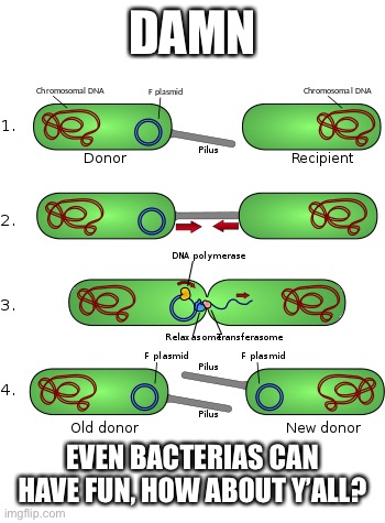 DAMN; EVEN BACTERIAS CAN HAVE FUN, HOW ABOUT Y’ALL? | made w/ Imgflip meme maker